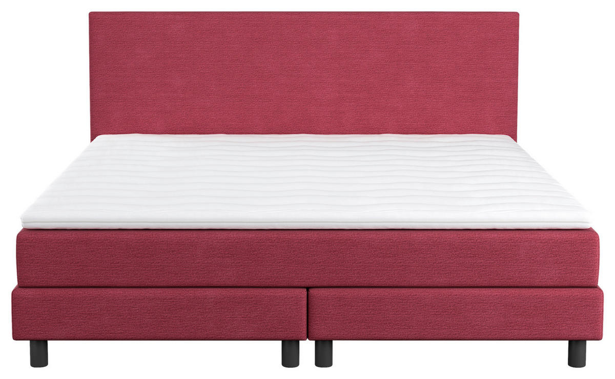 BOXBETT 140/200 cm  in Beere  - Beere/Schwarz, Modern, Holz/Holzwerkstoff (140/200cm) - MID.YOU