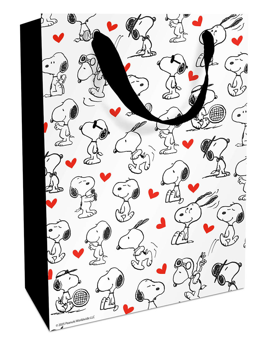 GESCHENKTASCHE   Weiß  - Weiß, Basics, Karton (26/36/13cm)