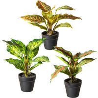 KUNSTPFLANZE 3 tlg. 25 cm  - Schwarz/Braun, Design, Kunststoff (25cm) - P & B