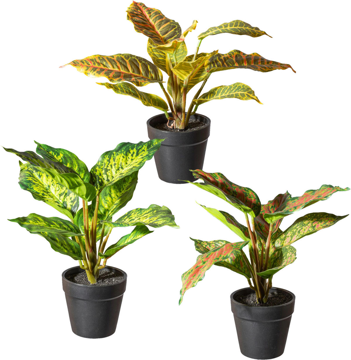 KUNSTPFLANZE 3 tlg. 25 cm  - Schwarz/Braun, Design, Kunststoff (25cm) - P & B