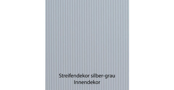 DREHTÜRENSCHRANK 300/216/58 cm 6-türig Graphitfarben - Schwarz/Graphitfarben, Design, Glas/Holzwerkstoff (300/216/58cm) - Novel