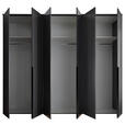 DREHTÜRENSCHRANK  in Graphitfarben  - Schwarz/Graphitfarben, MODERN, Glas/Holzwerkstoff (270/225/52cm) - Carryhome