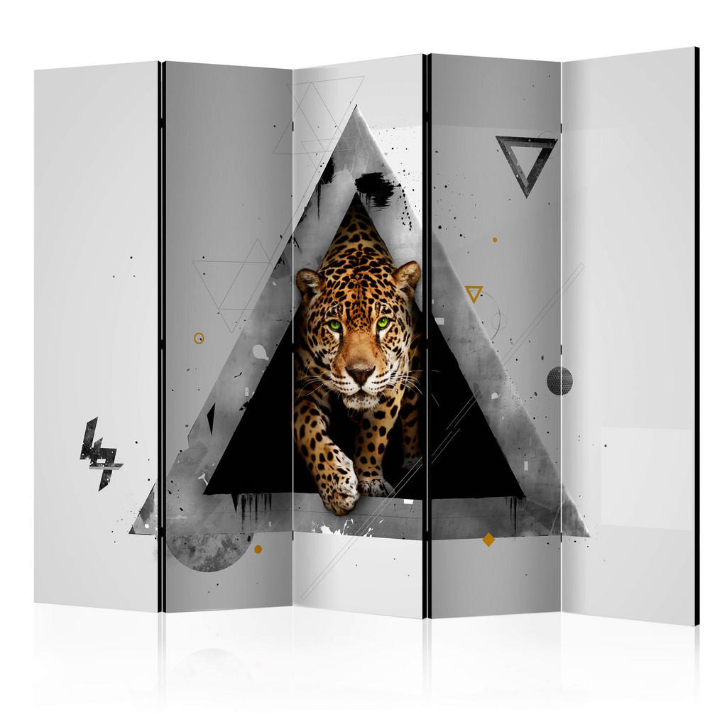 Paravent Multicolor B: 225 Cm