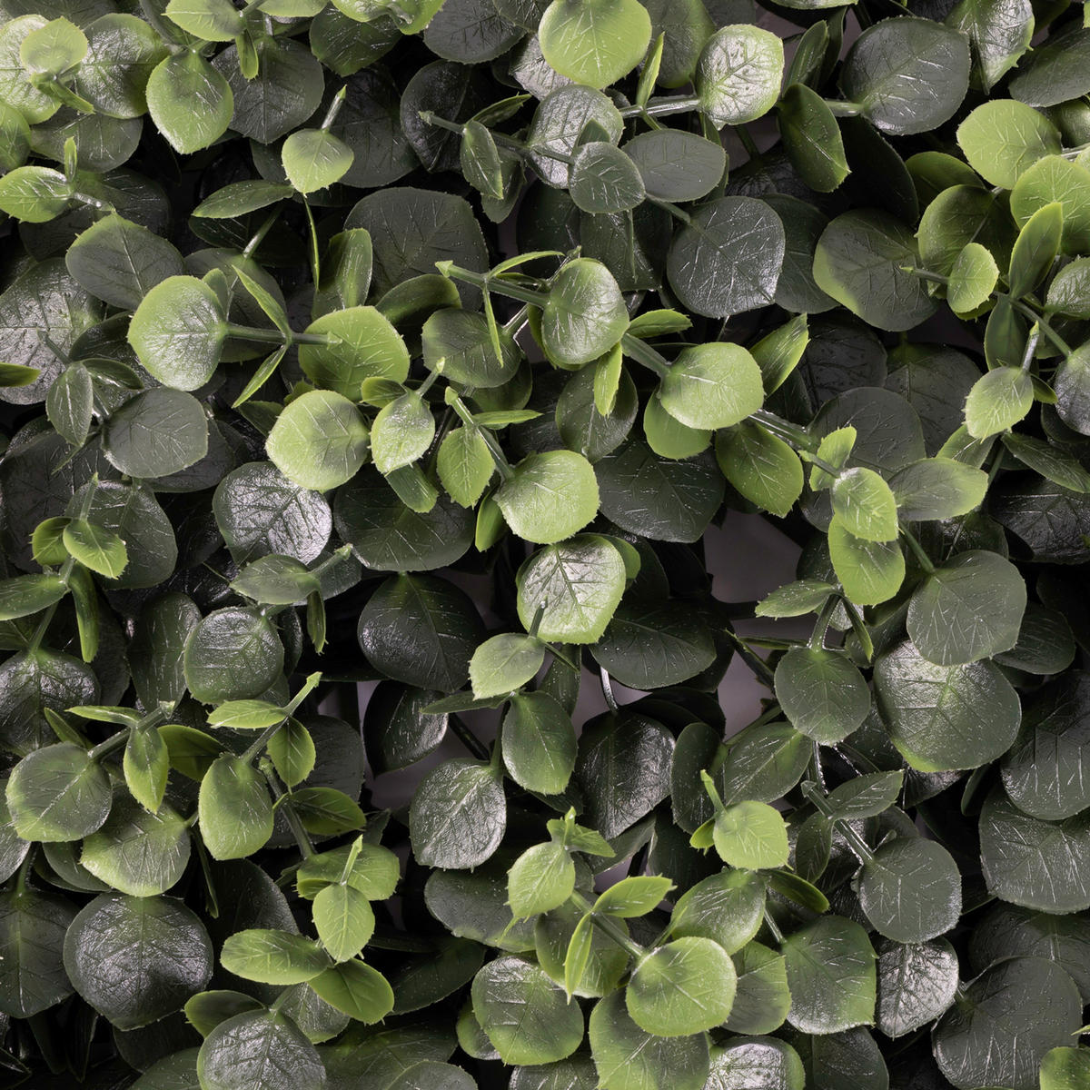 WANDVERKLEIDUNG  - Jadegrün/Mintgrün, Trend, Kunststoff (50/50cm) - Floordirekt