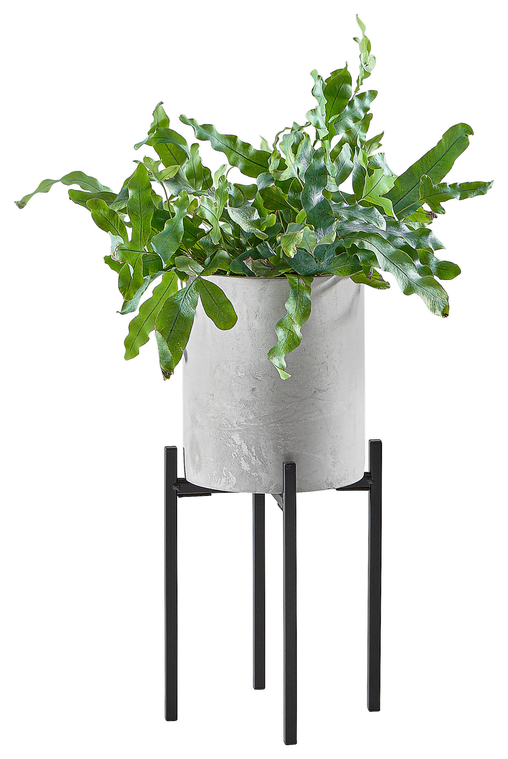 PFLANZENTOPF   - Schwarz/Grau, Design, Stein/Metall (13,5/36,5cm) - Ambia Home