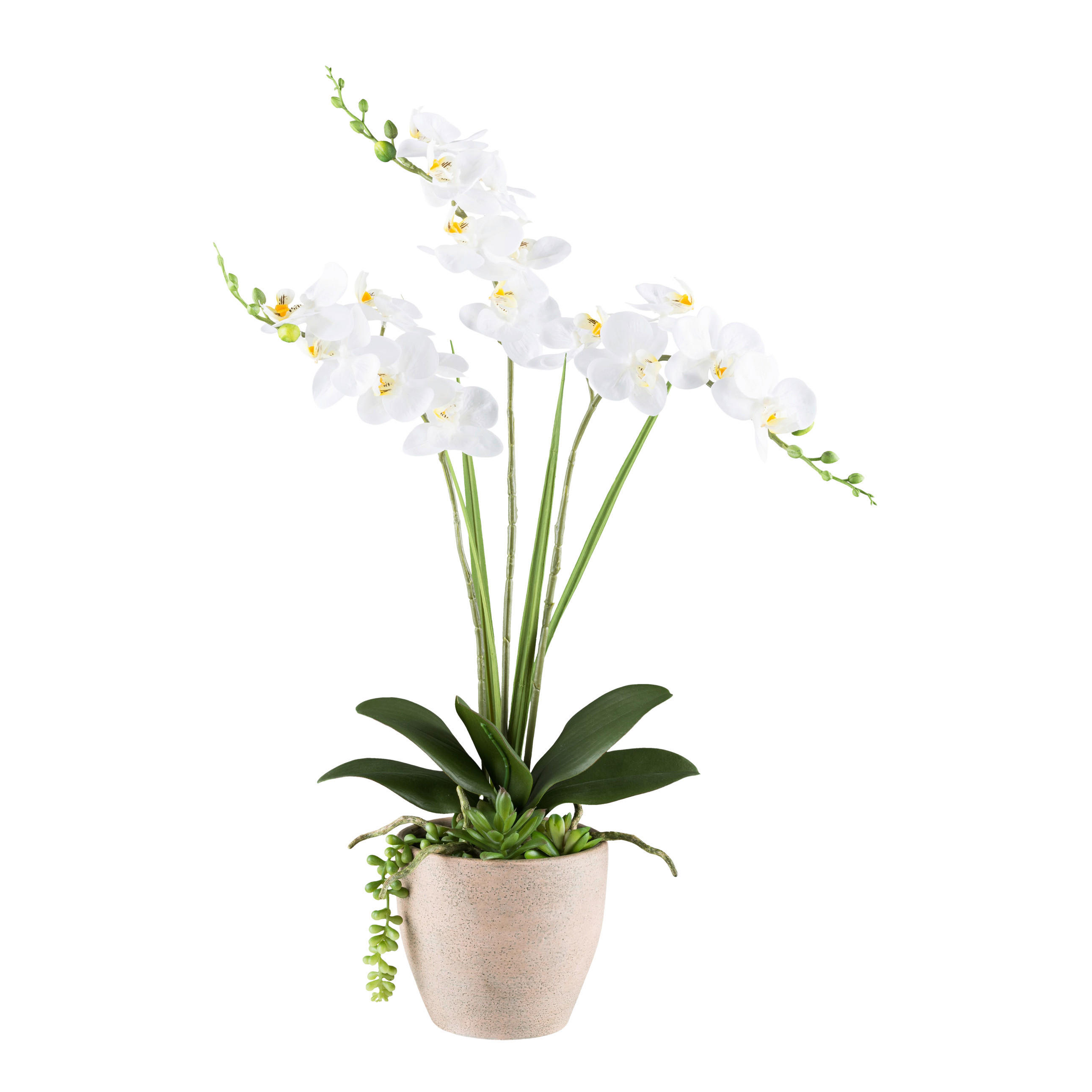 KUNSTPFLANZE Orchidee 55 cm  - Braun/Weiß, Basics, Kunststoff/Stein (55cm) - P & B
