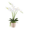 KUNSTPFLANZE Orchidee 55 cm  - Braun/Weiß, Basics, Kunststoff/Stein (55cm) - P & B