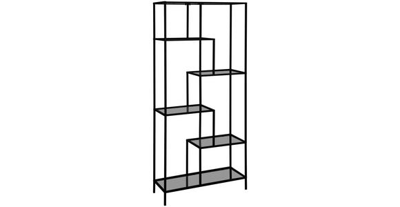 REGAL Grau, Schwarz - Schwarz/Grau, Basics, Glas/Metall (80/180/30cm) - Xora