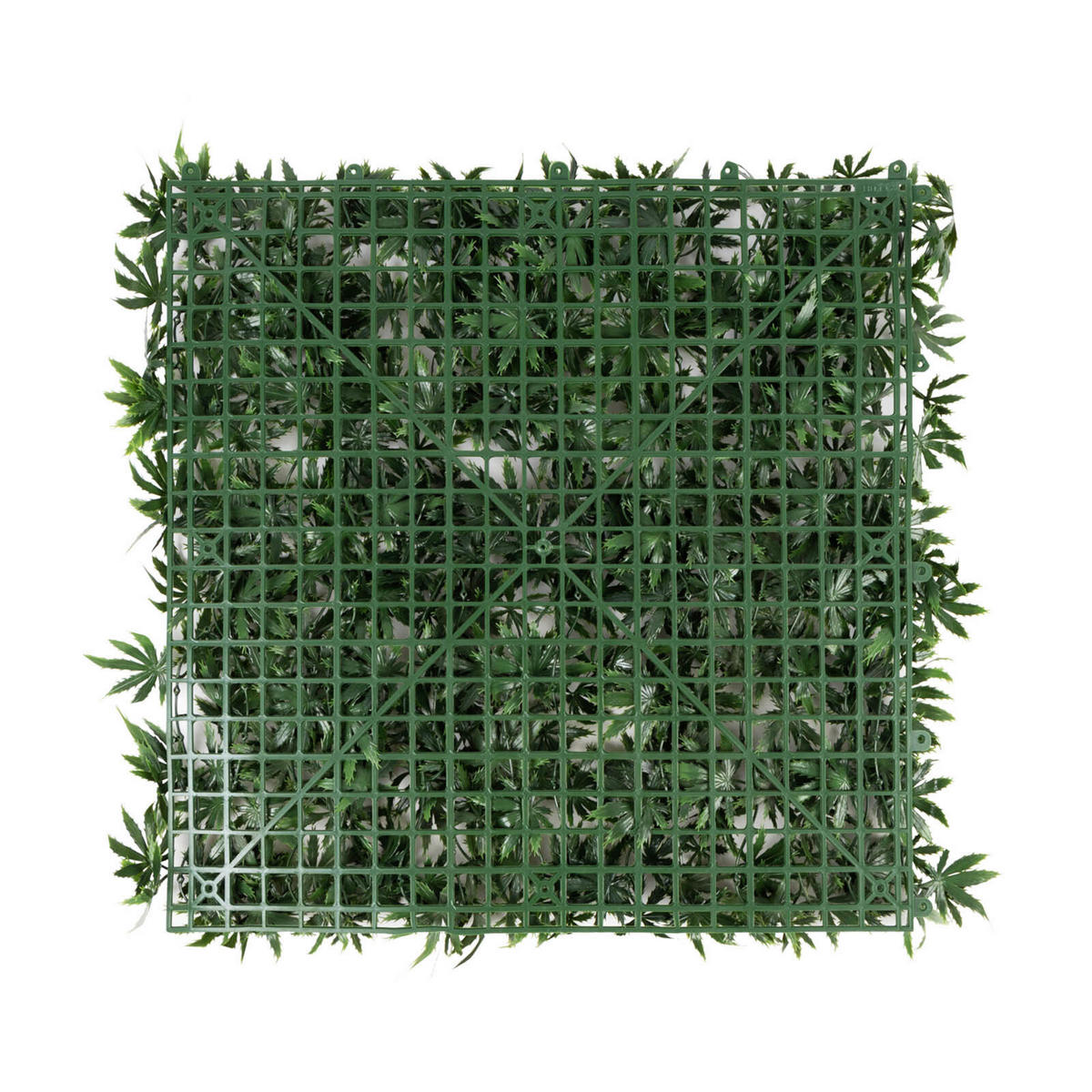 Wandverkleidung Pflanzenwand   - Trend (50/50cm) - Floordirekt