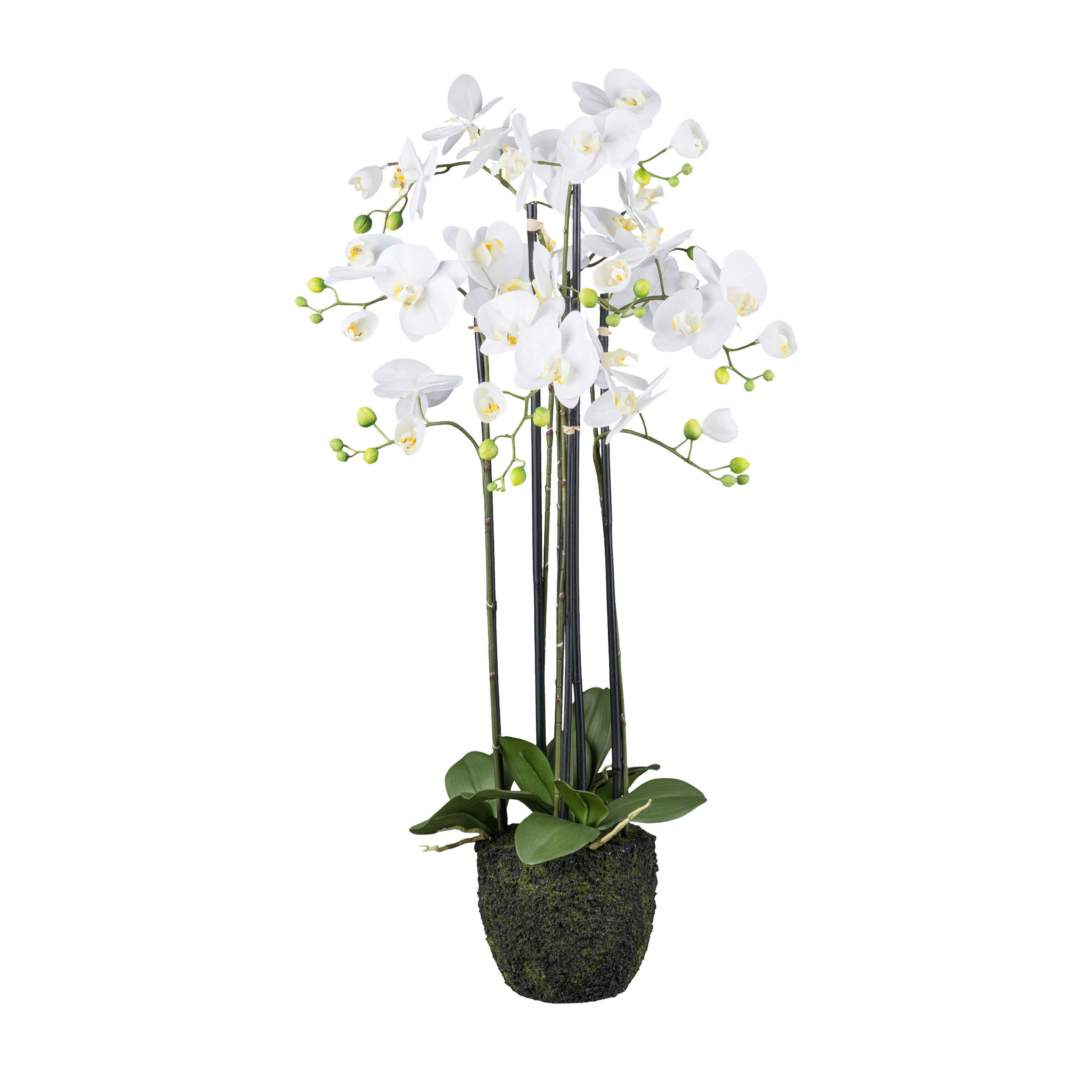 KUNSTPFLANZE Orchidee 93 cm - Weiß/Grün, Design, Kunststoff (93cm) - P & B