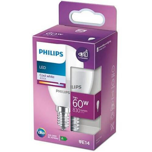 LED-SIJALKA   //// - bela, Basics, umetna masa (9,5/4,8/4,8cm) - Philips