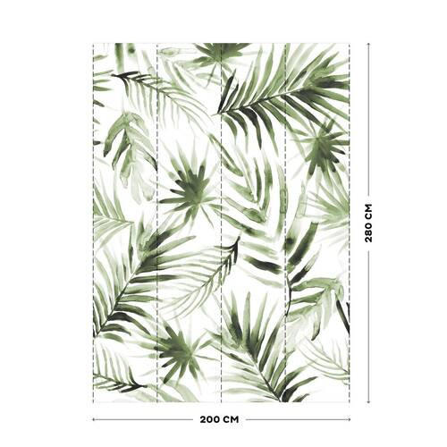 Fototapete Tropischer Farn