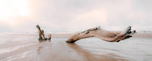 CANVASTAVLA 100/40/3 cm  - beige, Basics, textil/wellpapp (100/40/3cm)