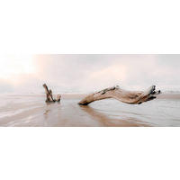 LEINWANDBILD Landschaft & Natur 100/40/3 cm  - Beige, Basics, Wellpappe/Textil (100/40/3cm)