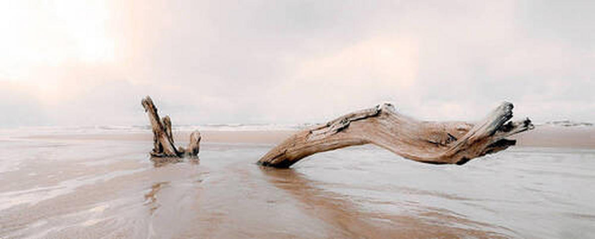 LEINWANDBILD Landschaft & Natur 100/40/3 cm  - Beige, Basics, Wellpappe/Textil (100/40/3cm)