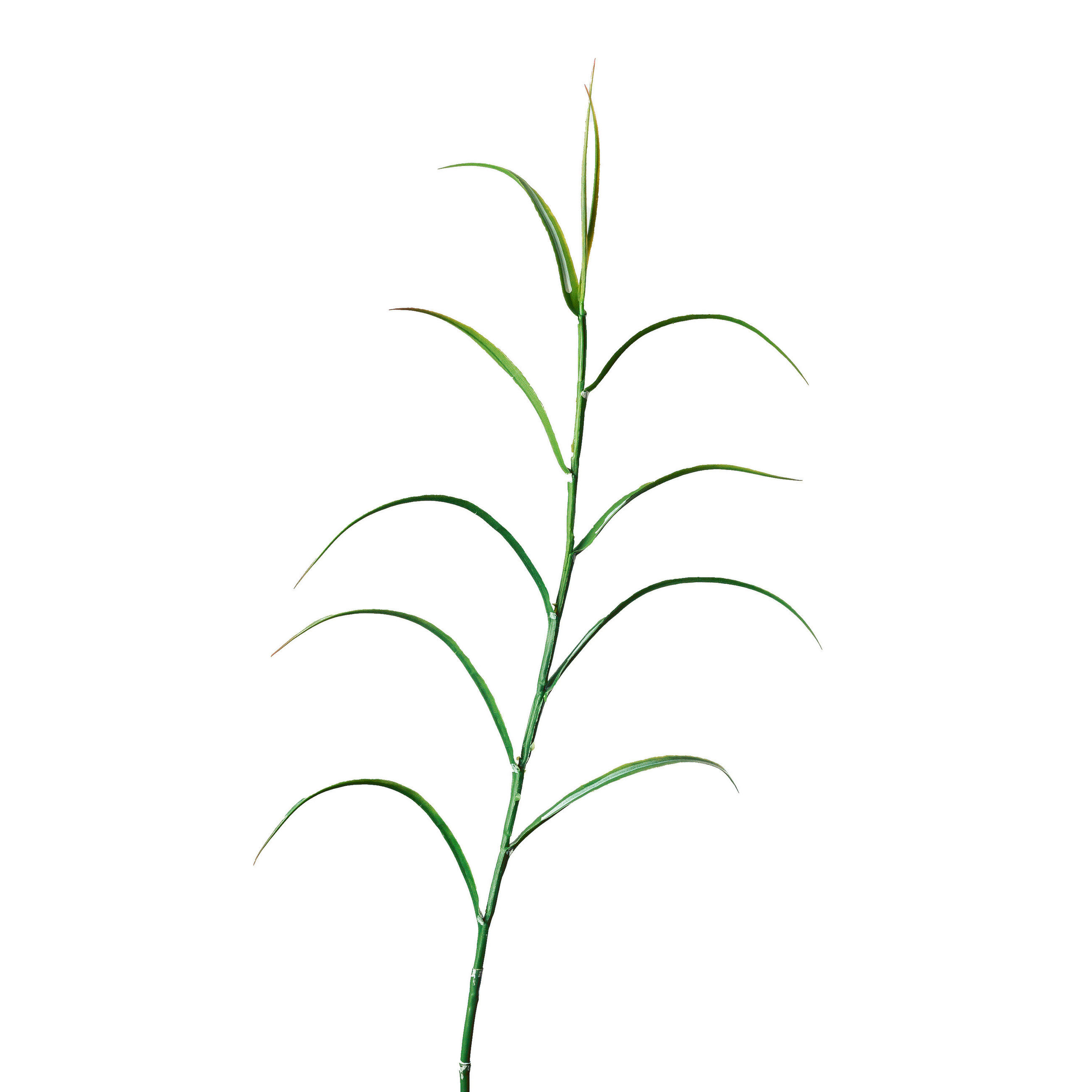 BAMBUSZ - zöld, Basics, műanyag (100cm)