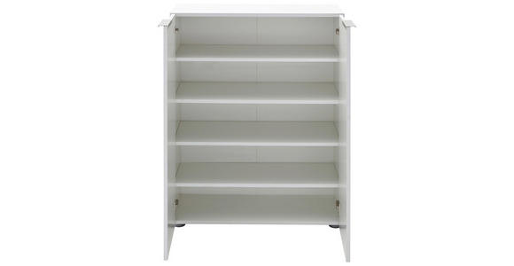 SCHUHSCHRANK in 80/101/39 cm - Edelstahlfarben/Schwarz, Design, Holzwerkstoff/Kunststoff (80/101/39cm) - Carryhome