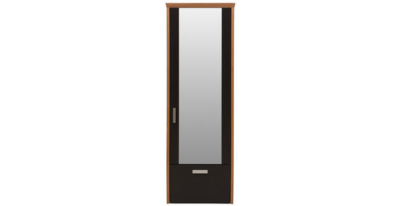 GARDEROBENSCHRANK 65/187/32 cm - Silberfarben/Buchefarben, Design, Glas/Holz (65/187/32cm) - Dieter Knoll
