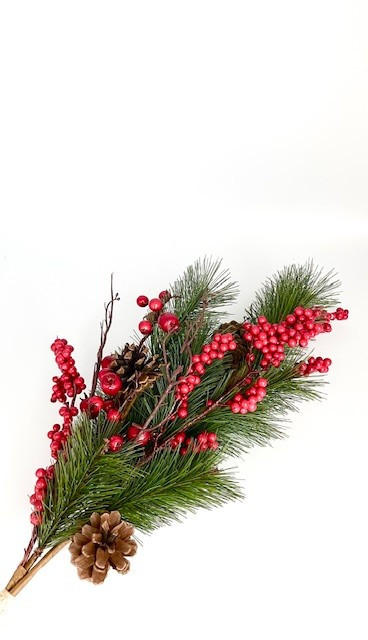 KUNSTPFLANZE - Rot/Grün, Basics, Kunststoff (74cm) - X-Mas