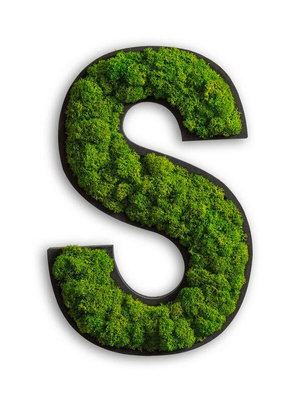 StyleGREEN MECHOVÝ OBRAZ