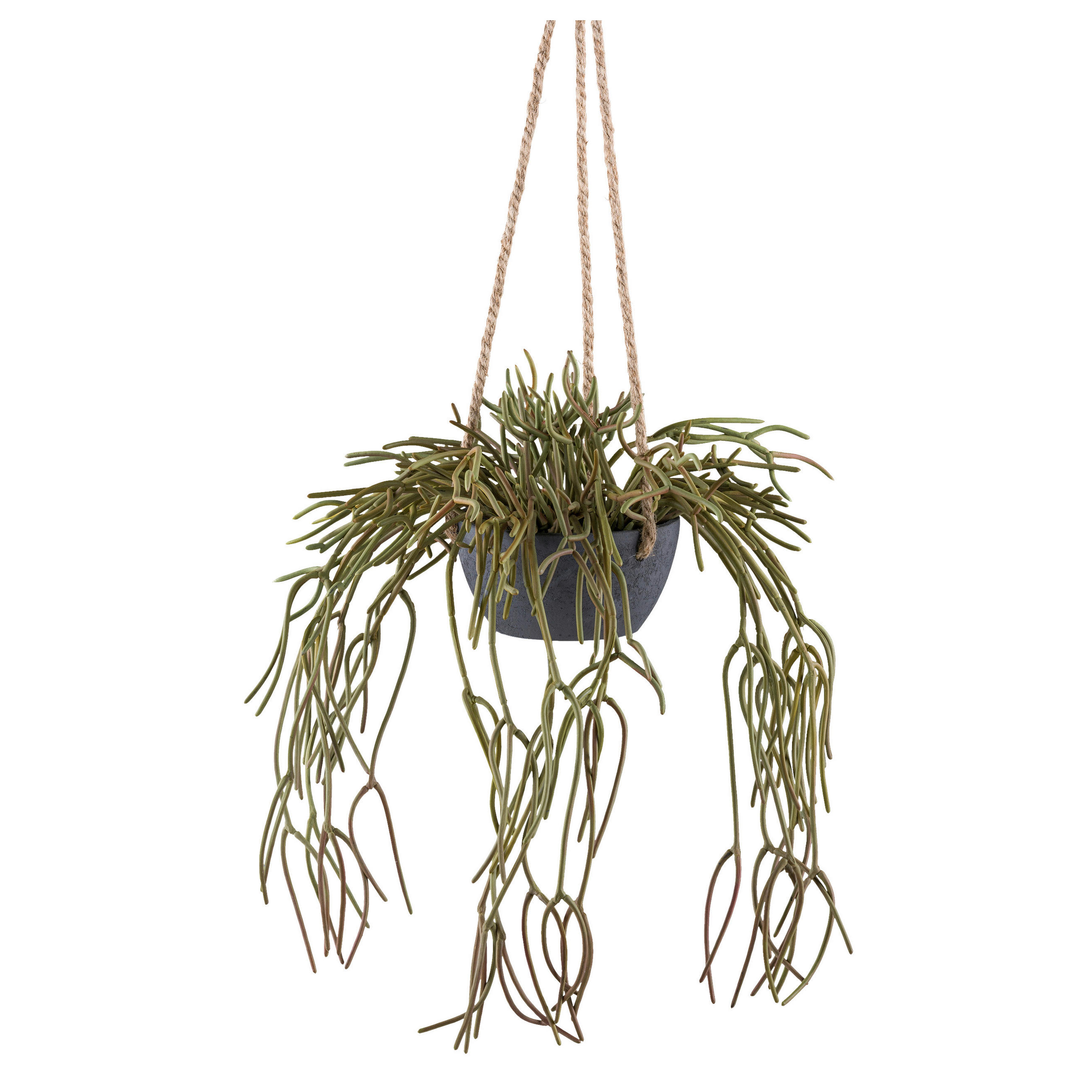 KUNSTPFLANZE 40 cm  - Grau/Grün, Design, Kunststoff (40cm)