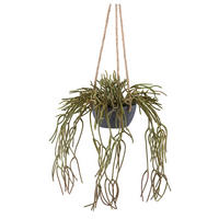KUNSTPFLANZE 40 cm  - Grau/Grün, Design, Kunststoff (40cm)