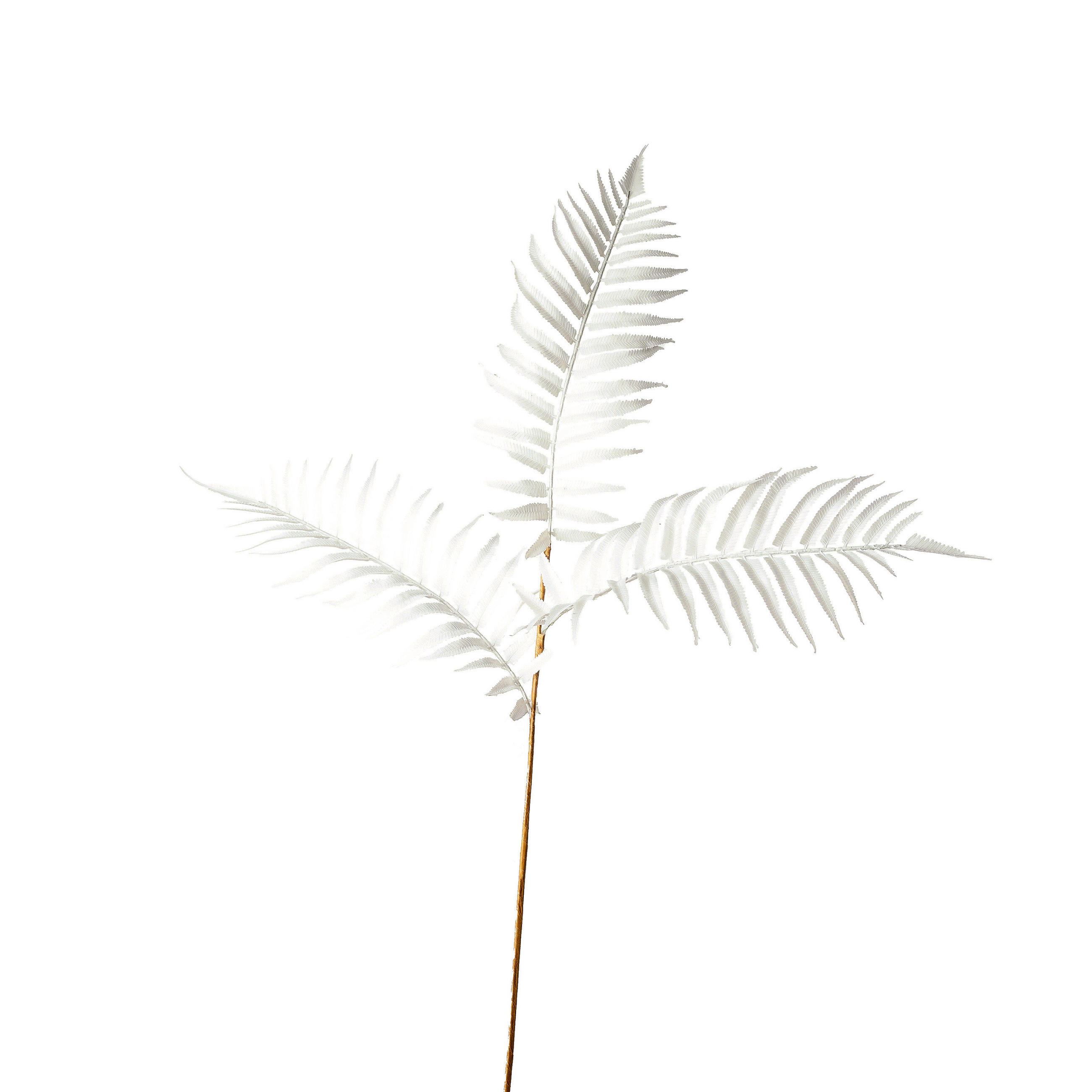 UMĚLÁ KVĚTINA 75 cm - bílá, Basics (75cm)