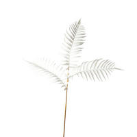 UMĚLÁ KVĚTINA 75 cm - bílá, Basics (75cm)