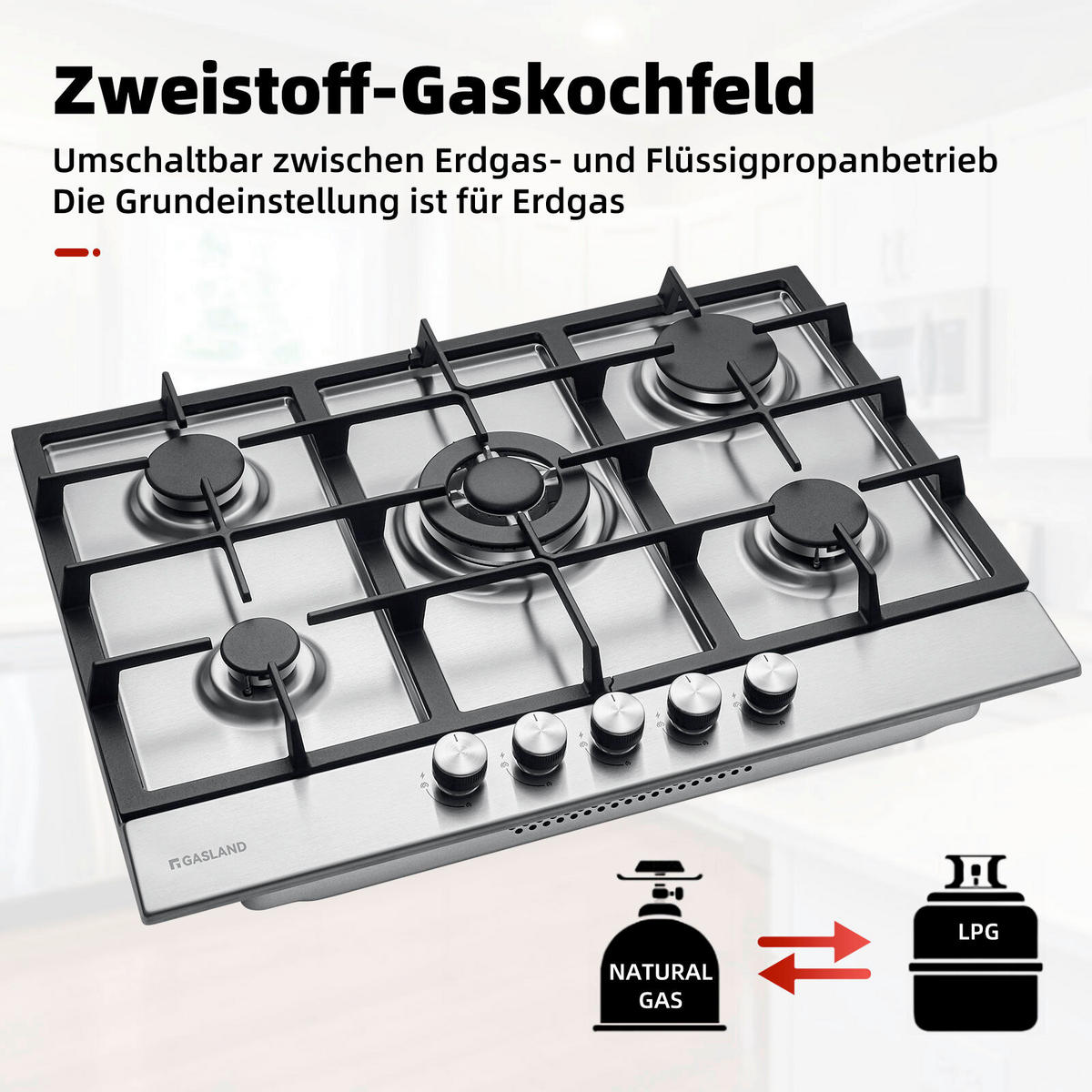 GASKOCHFELD - Edelstahlfarben, Trend, Metall (75/57/17cm)