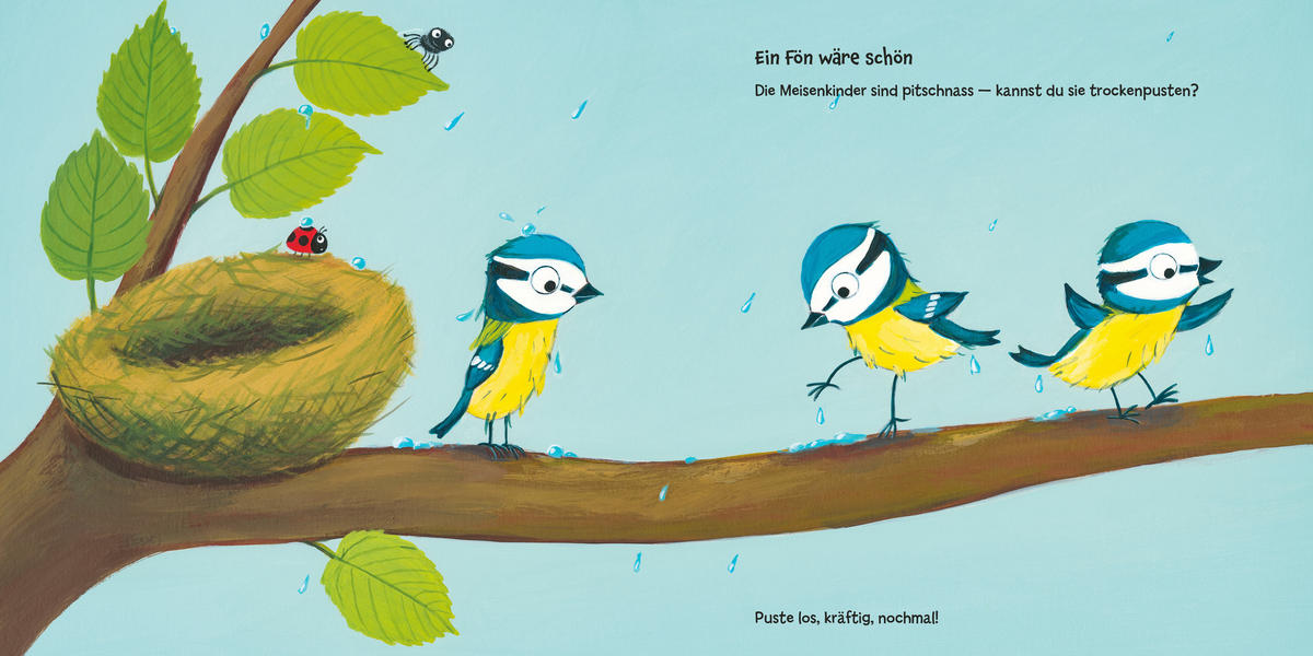 BILDERBUCH - Basics (20/20/1,35cm) - Carlsen