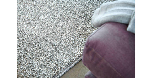 HOCHFLORTEPPICH 160/230 cm Samoa Silberfarben  - Silberfarben, KONVENTIONELL, Textil (160/230cm) - Novel