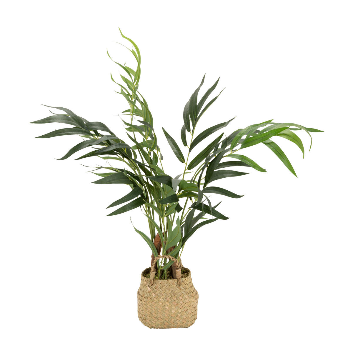KUNSTPFLANZE Palme  - Hellbraun/Grün, Basics, Kunststoff/Textil (50/65/50cm) - MID.YOU
