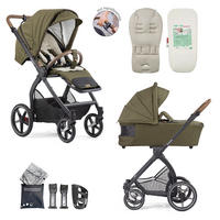 KOMBIKINDERWAGEN FX4 Swing Set mit Handbremse  - Salbeigrün/Schwarz, Basics, Textil (100/55/130cm) - Gesslein