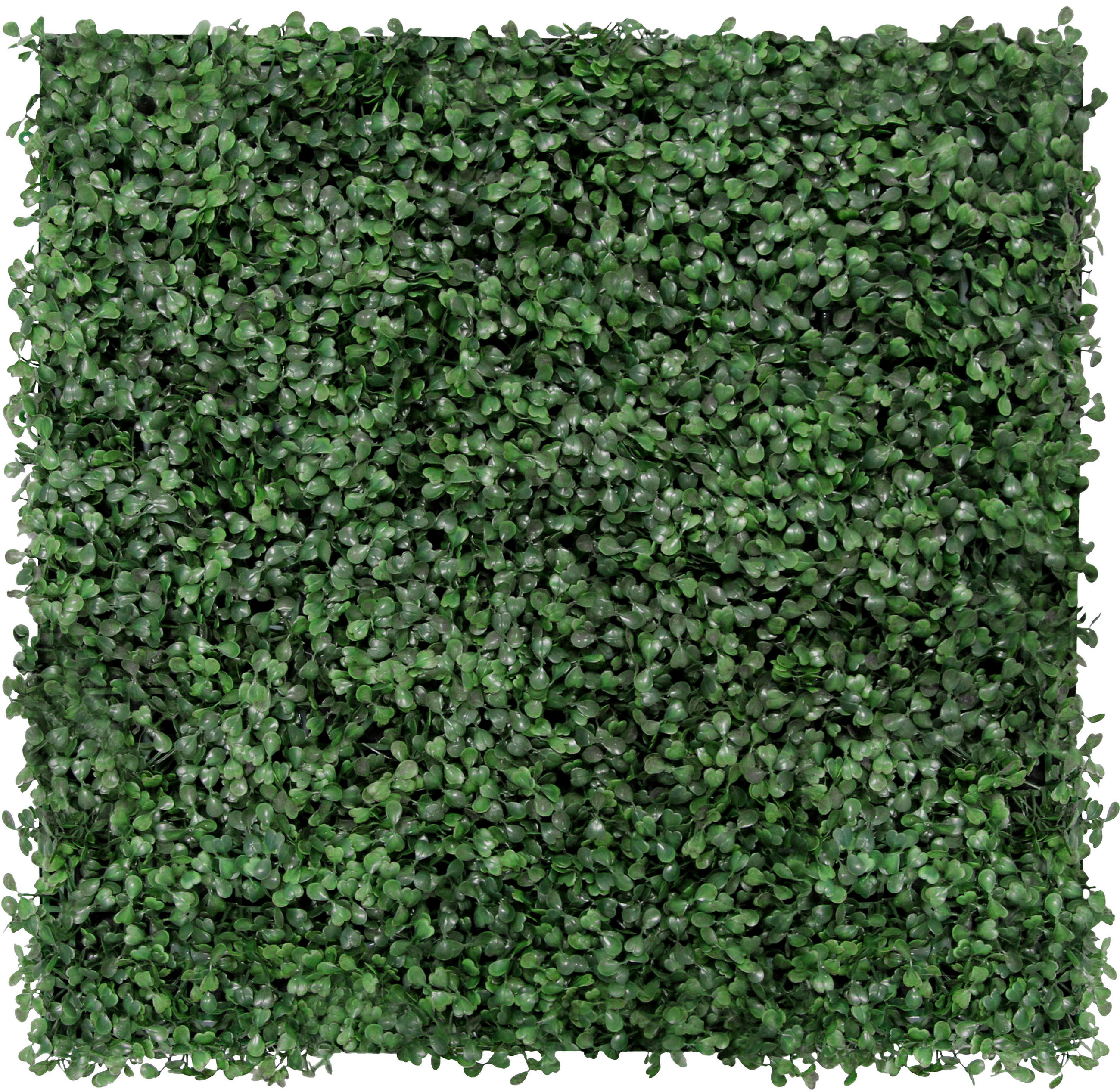 AKUSTIKPANEEL Modular Wall System Design Flora 52/52/2,2 cm  - Dunkelgrün, KONVENTIONELL, Kunststoff (52/52/2,2cm) - Jangal