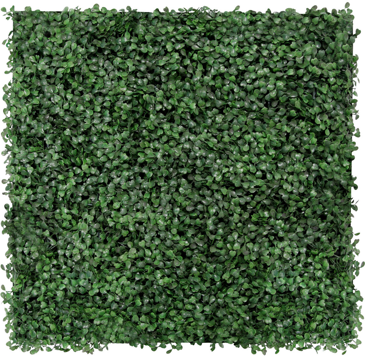 AKUSTIKPANEEL Modular Wall System Design Flora 52/52/2,2 cm  - Dunkelgrün, KONVENTIONELL, Kunststoff (52/52/2,2cm) - Jangal