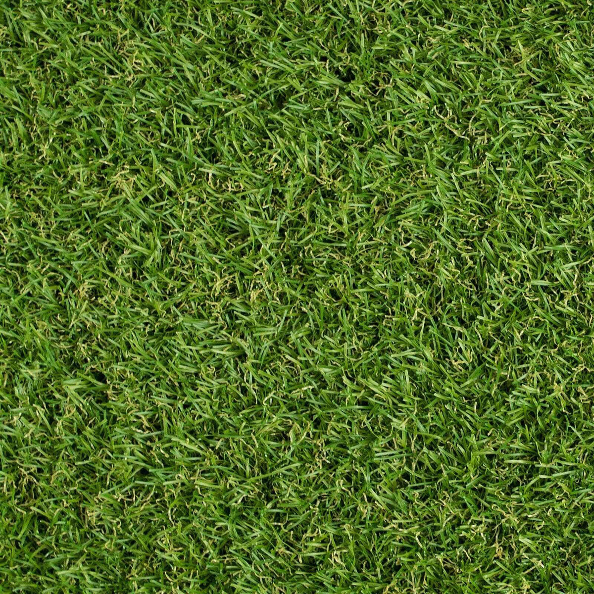RASENTEPPICH - Grün, Basics, Kunststoff (200/250cm) - Floordirekt