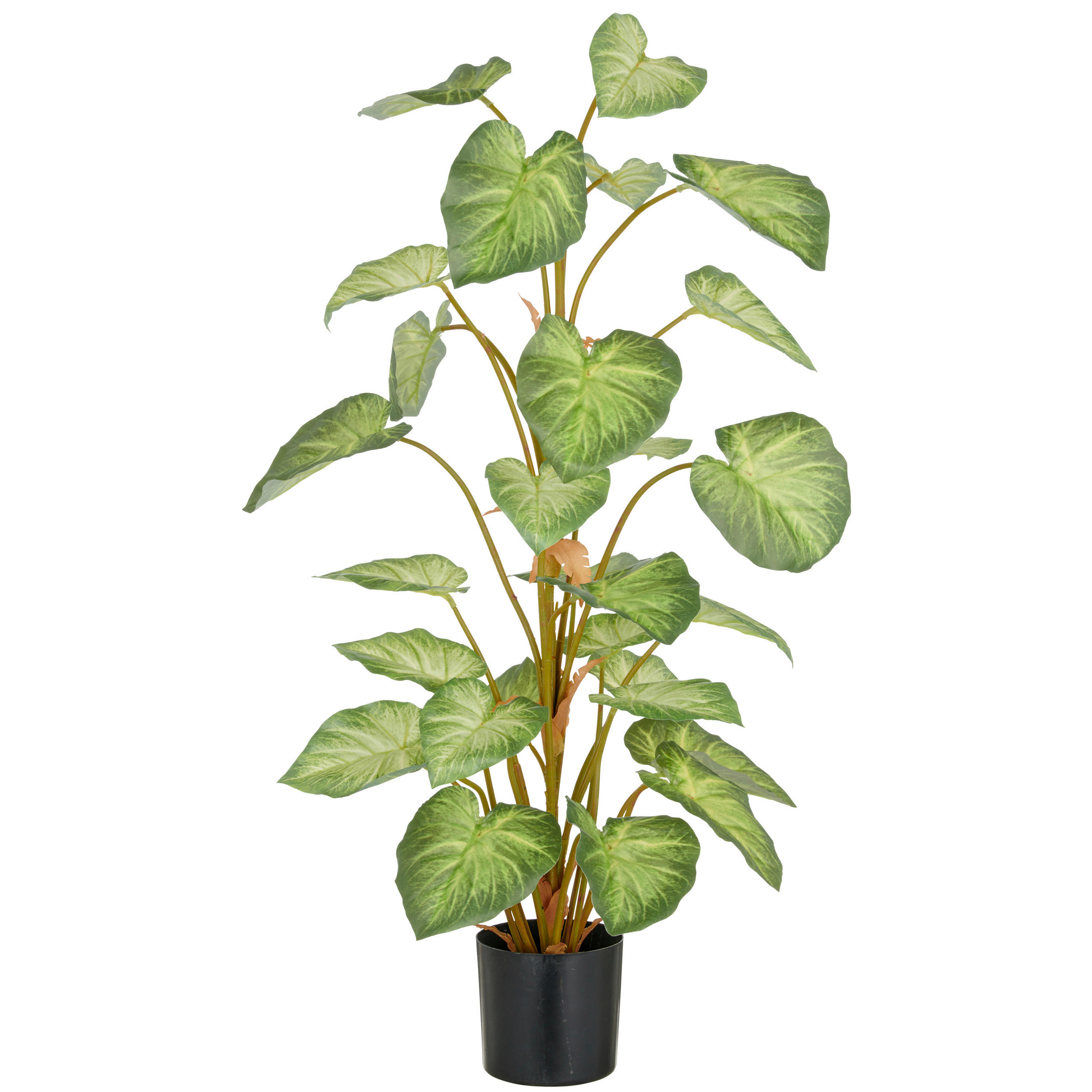 KUNSTPFLANZE 90 cm  - Schwarz/Braun, Basics, Kunststoff (90cm) - P & B