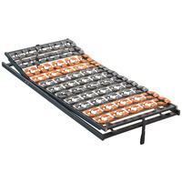 TELLERLATTENROST 140/200 cm, Kopfteil, Fußteil verstellbar, Birke, Buche  - Anthrazit/Orange, Basics, Holz (140/200cm) - Dieter Knoll