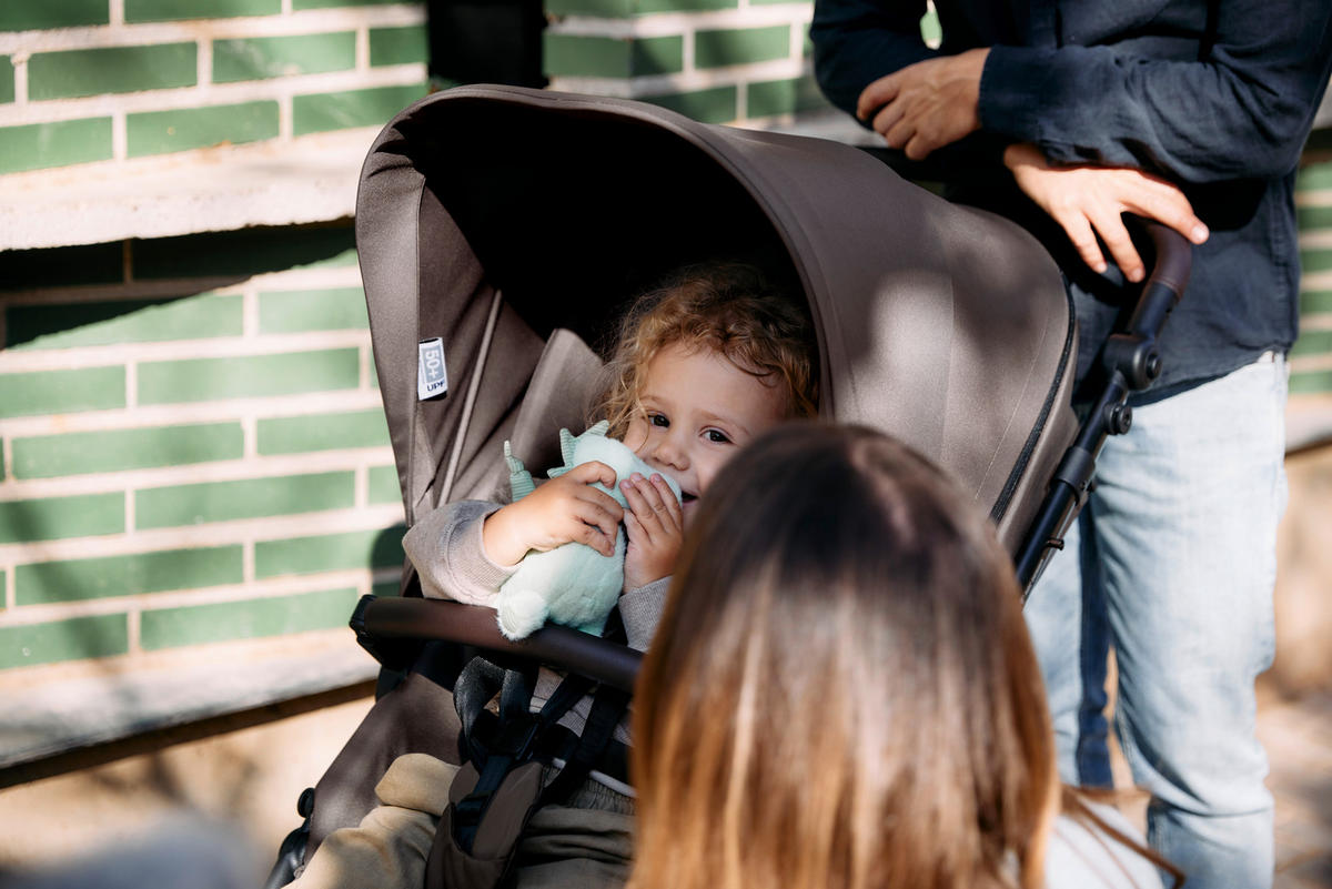 KINDERWAGENSET Sierra All in One  - Anthrazit/Graubraun, Basics, Metall (58,5/111/100cm) - ABC Design