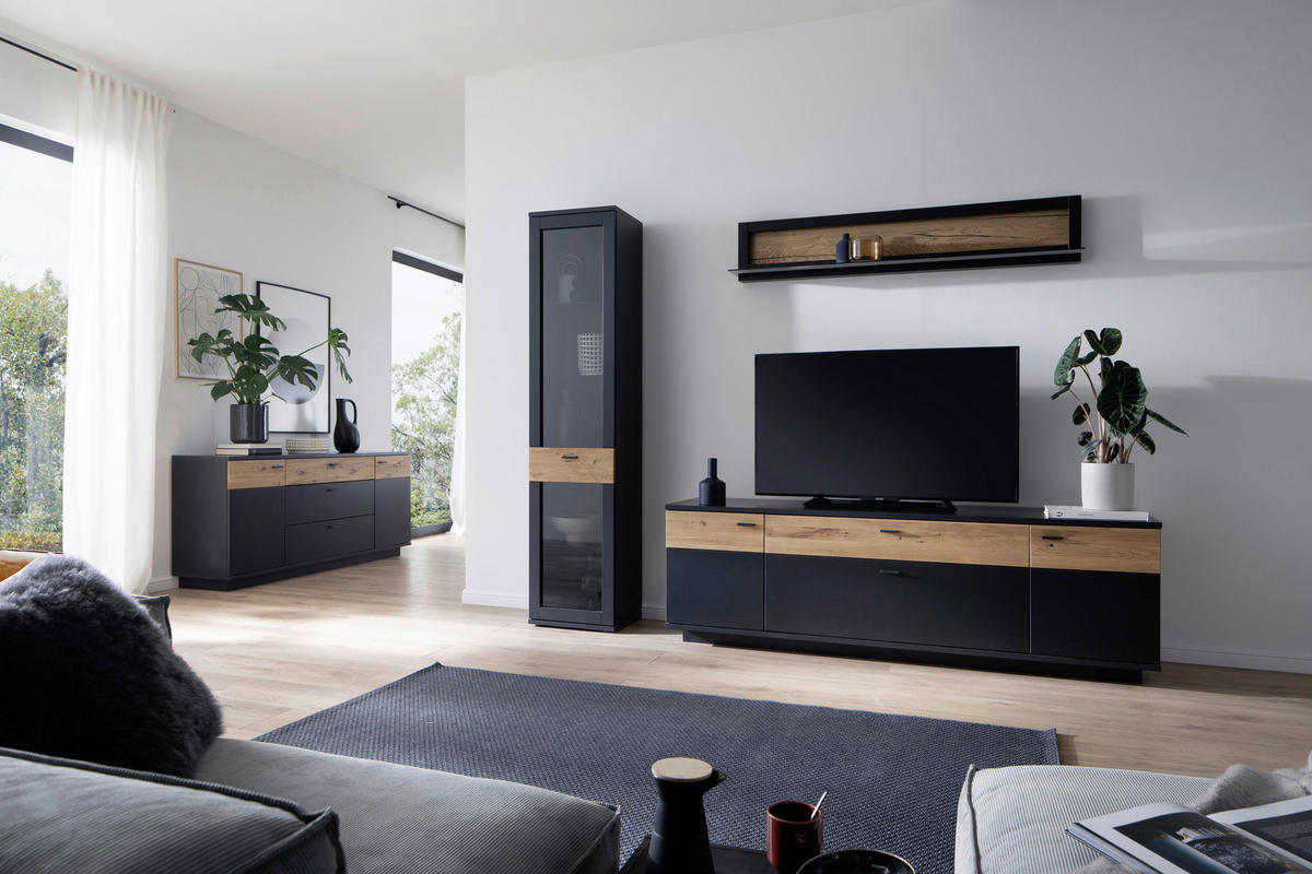 Set Mobilă Living, gri, stejar sălbatic, 250/201/50 cm - stejar sălbatic/negru, Design, sticlă/metal (250/201/50cm) - Novel