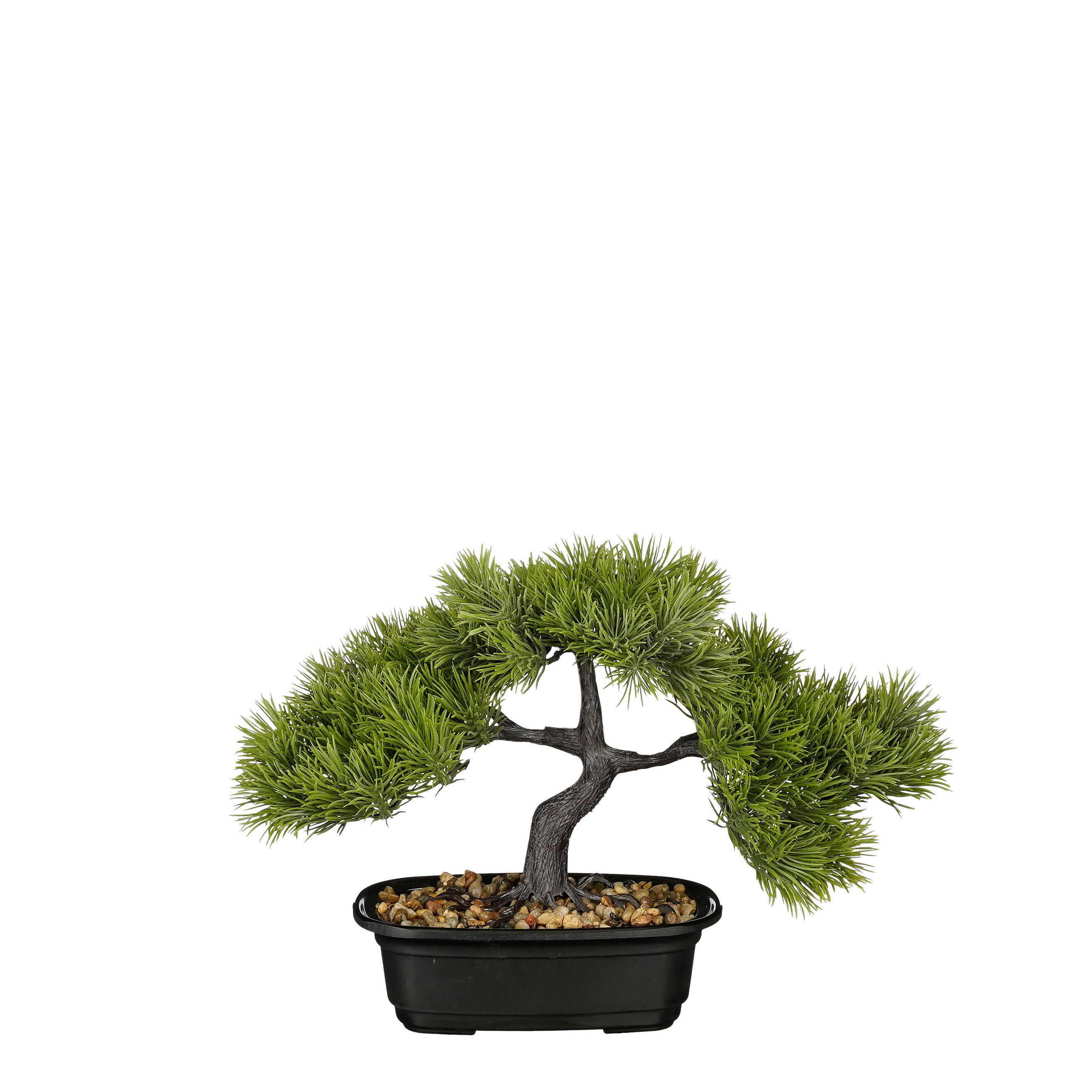 BONSAI  - grön, Basics, plast (33/17/26cm)