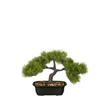 BONSAI - zöld, Basics, műanyag (33/17/26cm)