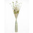 BÜNDEL - Creme/Naturfarben, Natur, Weitere Naturmaterialien (150cm) - Ambia Home BÜNDEL - Creme/Naturfarben, Natur, Weitere Naturmaterialien (150cm) - Ambia Home