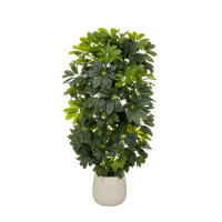 KUNSTPFLANZE Aralia  - Weiß/Grün, MODERN, Kunststoff/Metall (48/110/45cm) - MID.YOU