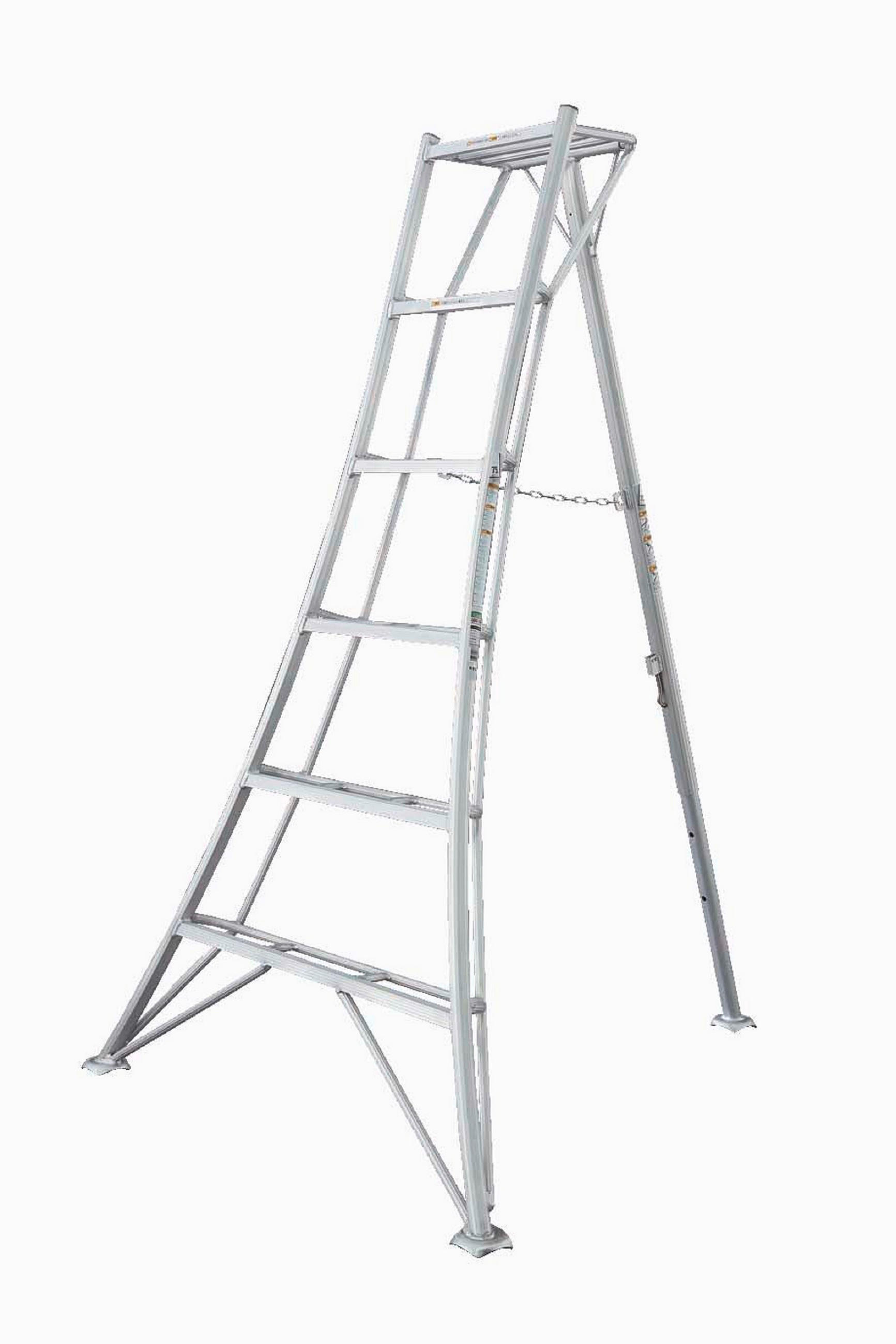 LEITER - Silberfarben, Basics, Metall (125/180/20cm) - Ambia Garden