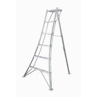 LEITER - Silberfarben, Basics, Metall (125/180/20cm) - Ambia Garden