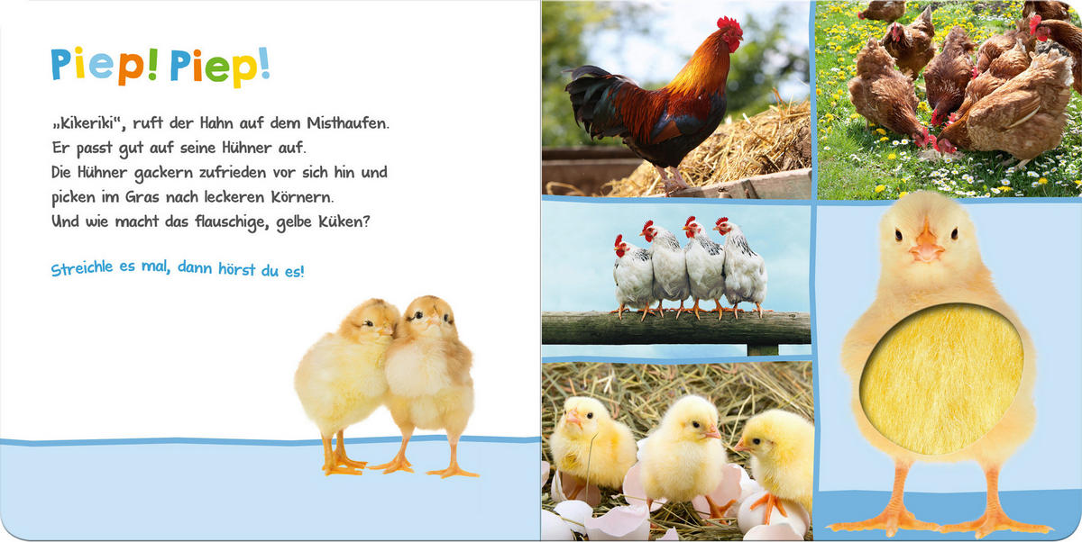 BUCH - Multicolor, Basics (20/20/2cm)
