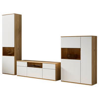 WOHNWAND  330/215/45 cm  - (330/215/45cm)