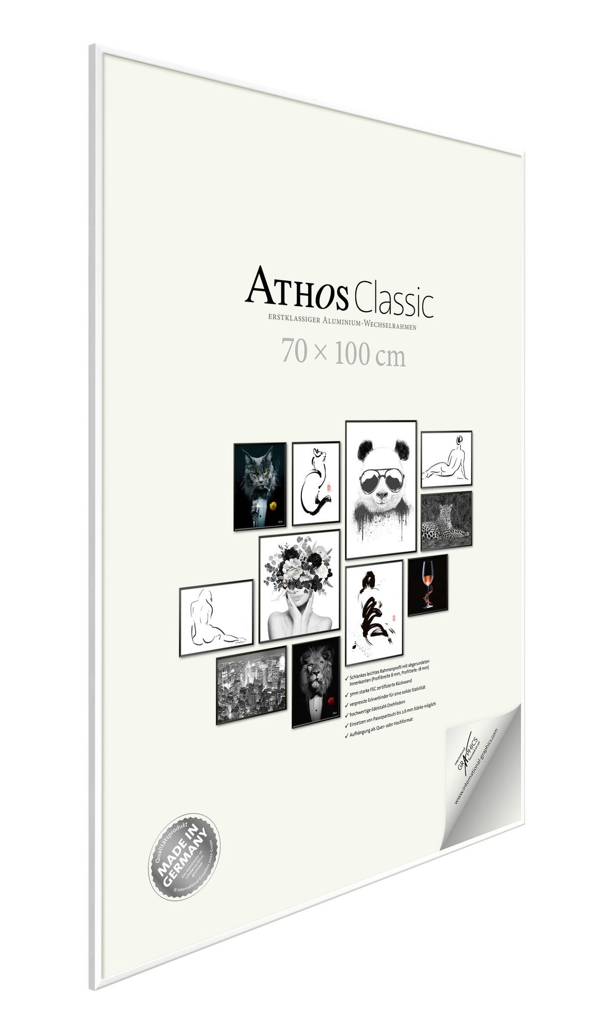 BILDERRAHMEN - Weiß Hochglanz, Basics, Papier/Holzwerkstoff (70/100/1,8cm)