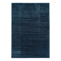 WEBTEPPICH 200/290 cm Blau  - Blau, Basics, Textil (200/290cm) - Astra
